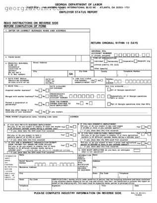 Free Georgia Department Of Labor Template in PDF