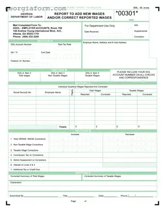 Free Georgia Dol 3C Template in PDF