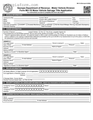 Free Georgia Mv 1S Template in PDF